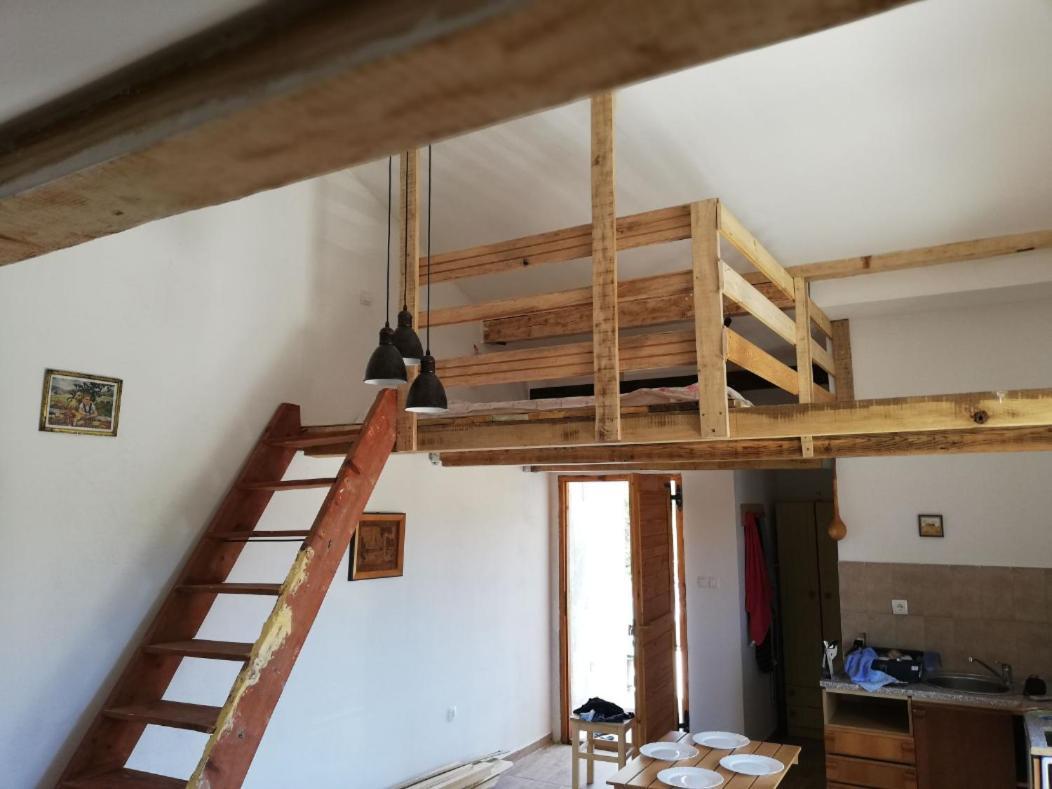 Apartment Zola Gornji Karin Zewnętrze zdjęcie