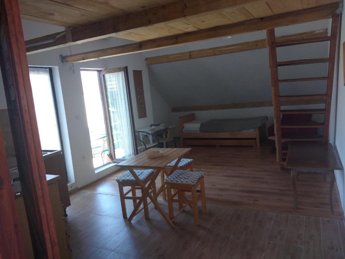 Apartment Zola Gornji Karin Zewnętrze zdjęcie